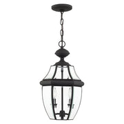 Monterey 2-Light Medium Outdoor Pendant Lantern in Black