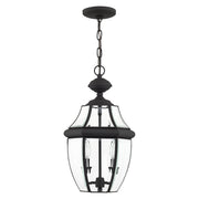 Monterey 2-Light Medium Outdoor Pendant Lantern in Black