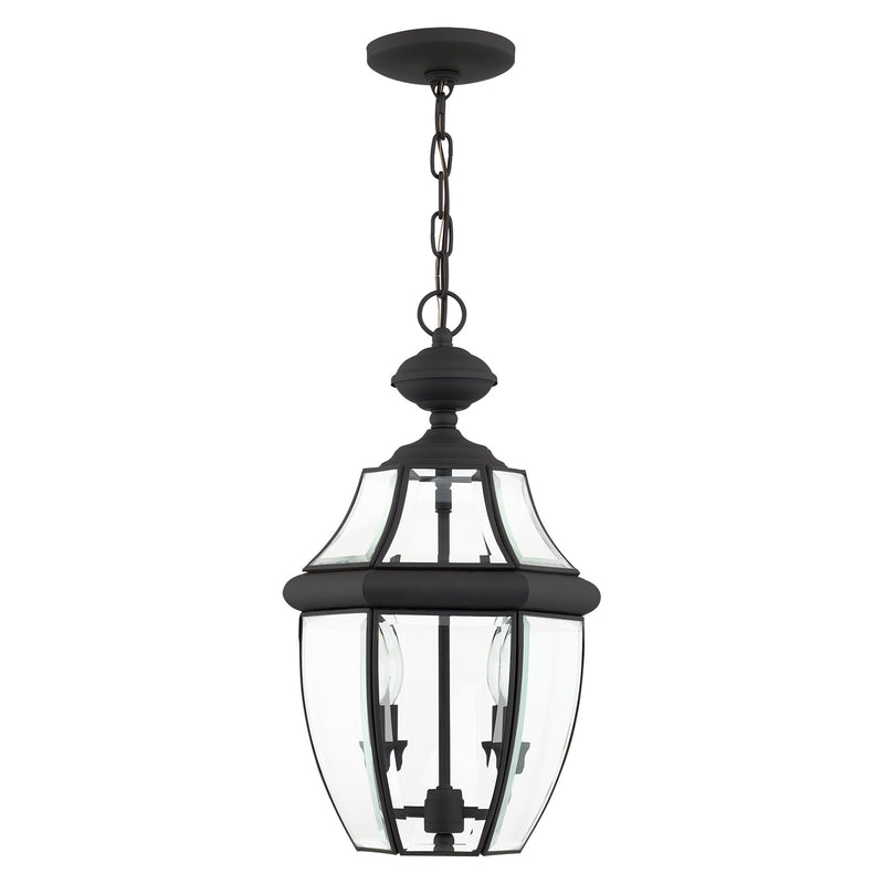 Monterey 2-Light Medium Outdoor Pendant Lantern in Black