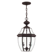 Monterey 2-Light Medium Outdoor Pendant Lantern in Bronze