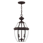 Monterey 2-Light Medium Outdoor Pendant Lantern in Bronze