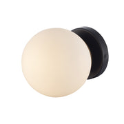 Terra 1-Light 6" Bath Sconce in Black