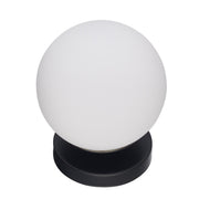 Terra 1-Light 6" Bath Sconce in Black