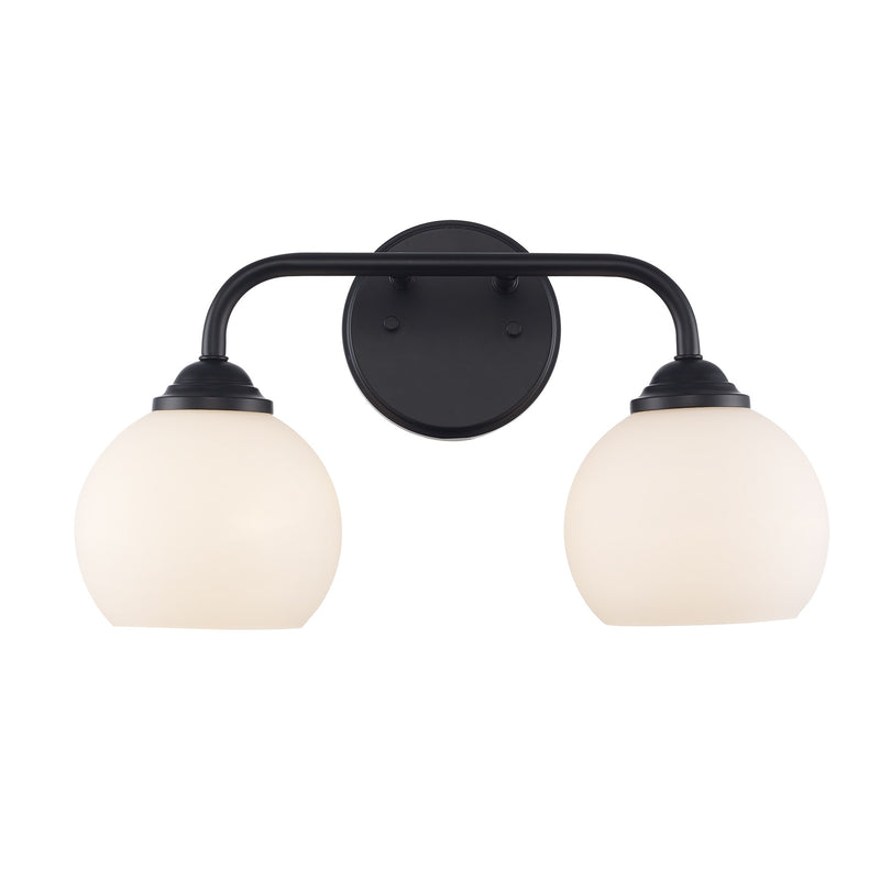 Sparkline 2-Light 16" Vanity Light in Black