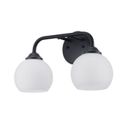 Sparkline 2-Light 16" Vanity Light in Black