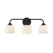 Sparkline 3-Light 24" Vanity Light in Black