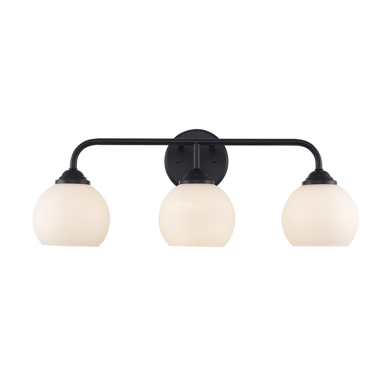 Sparkline 3-Light 24" Vanity Light in Black
