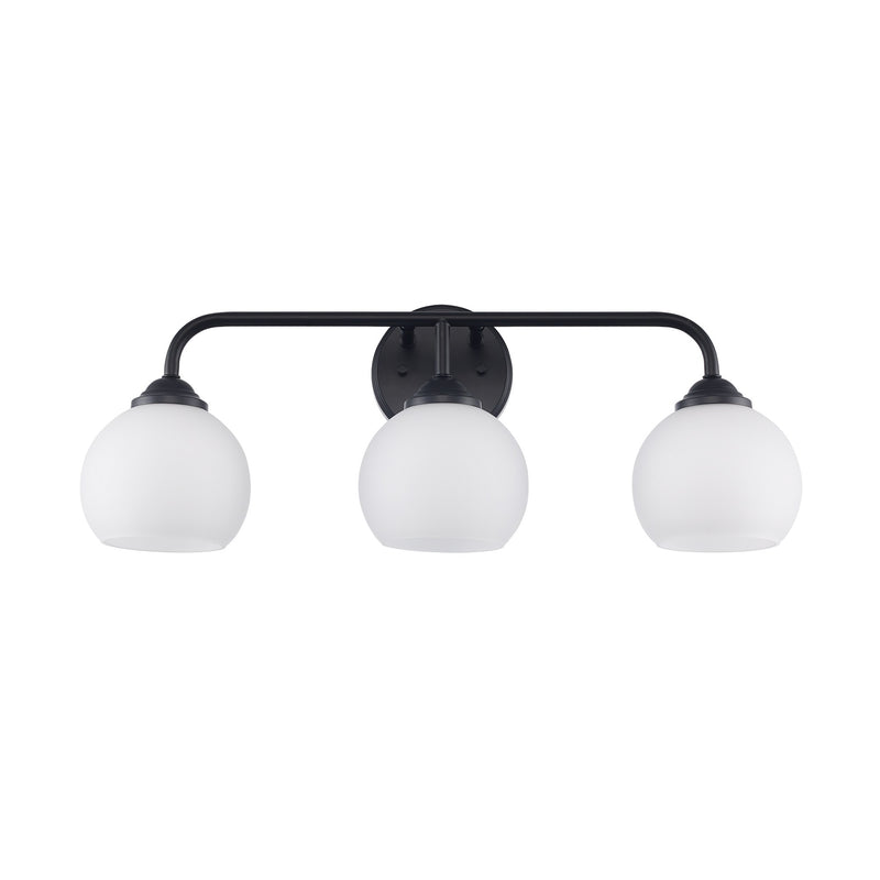 Sparkline 3-Light 24" Vanity Light in Black