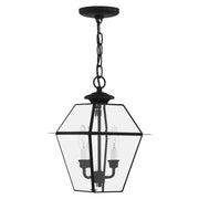 Westover 2-Light Medium Outdoor Pendant Lantern in Black
