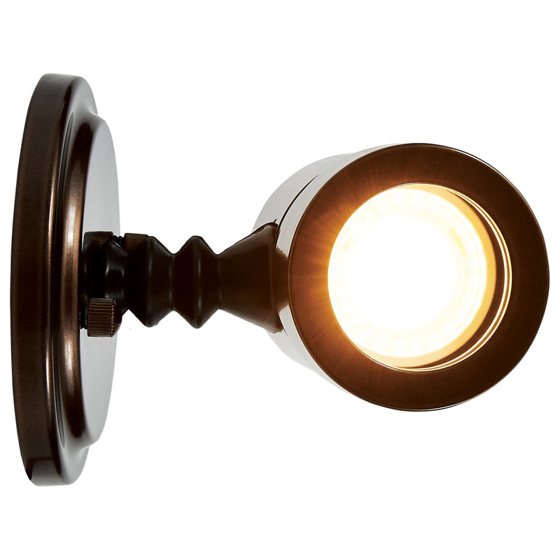 Myra Adjustable Spotlight Outdoor Wall Sconce in Bronze