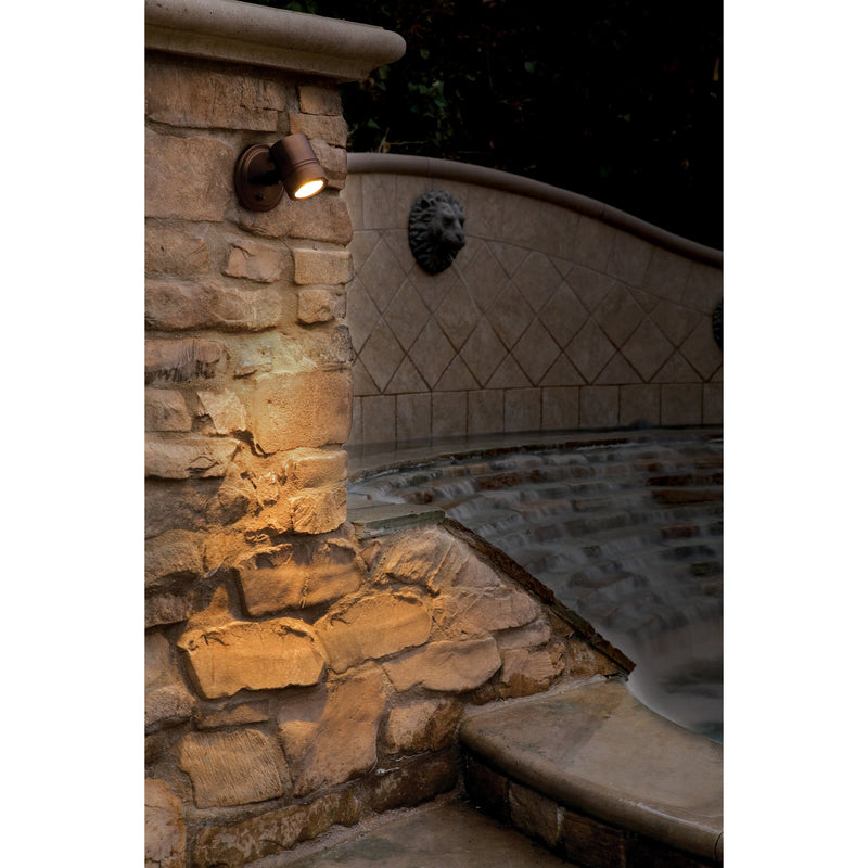 Myra Adjustable Spotlight Outdoor Wall Sconce in Bronze