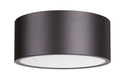 Harley 2 Light 12" Flush Mount in Bronze