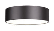 Harley 4 Light 20" Flush Mount in Bronze