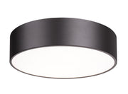 Harley 4 Light 20" Flush Mount in Bronze