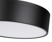 Harley 4 Light 20" Flush Mount in Matte Black