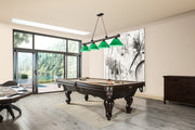 Cordon 4 Light 81.25" Billiard, Plastic Shades in Bronze in a room setting