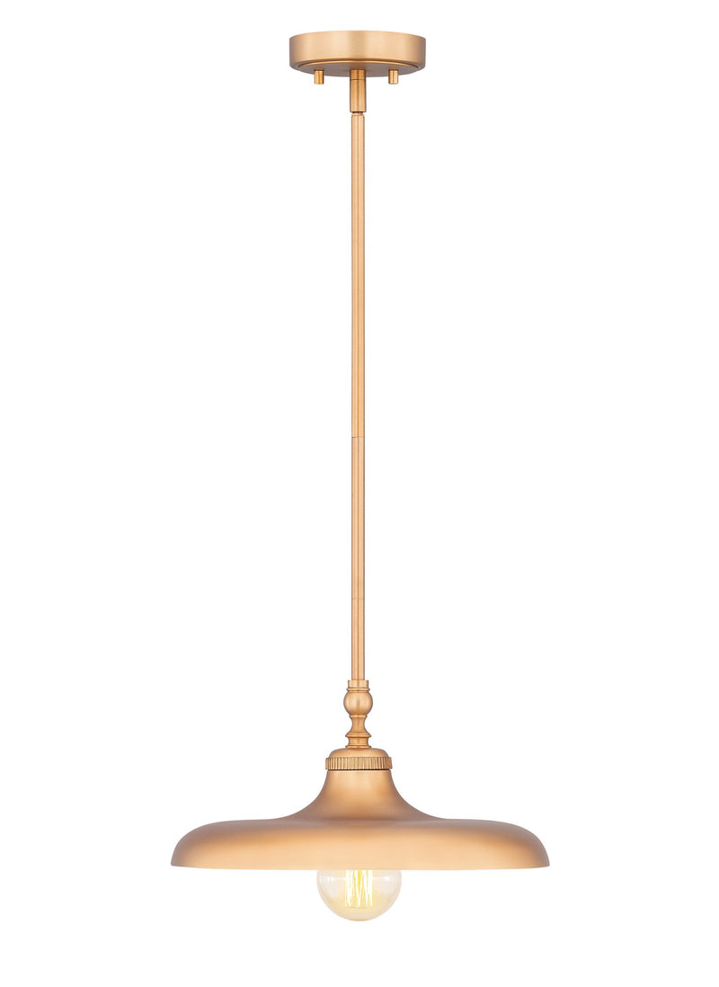 Camden 14" Pendant in Rubbed Brass