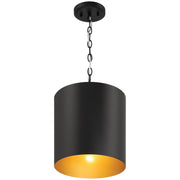 Knox Pendant in Matte Black