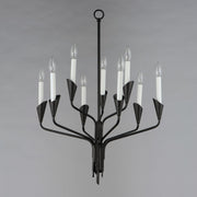 Calyx 9 Light Chandelier in Black