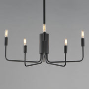Abner 5 Light Chandelier in Black