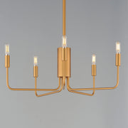 Abner 5 Light Chandelier in Natural Aged Brass