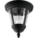 Westport One Light Close to Ceiling in Black