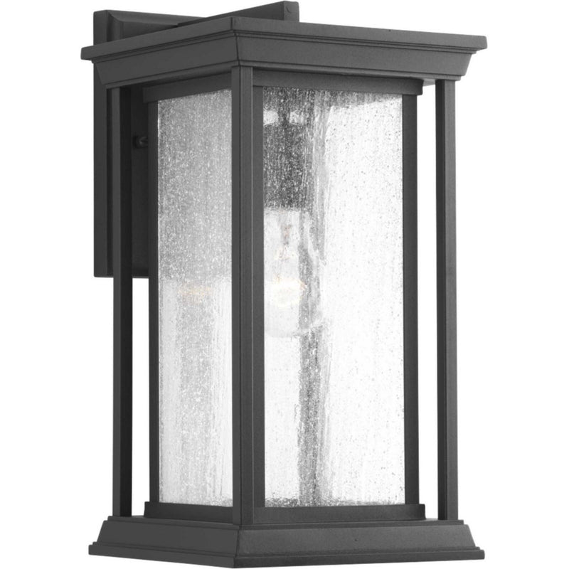 Endicott Medium Outdoor Wall Lantern in Black
