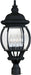 Crown Hill 4-Light Outdoor Pole/Post Lantern in Black - Lamps Expo