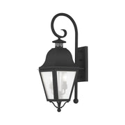 Amwell 2-Light Medium Outdoor Wall Lantern in Black