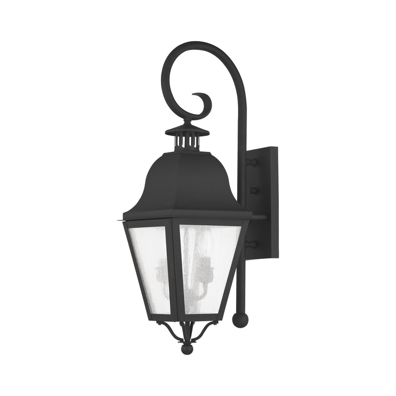 Amwell 2-Light Medium Outdoor Wall Lantern in Black