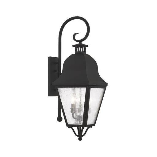 Amwell 3-Light Large Outdoor Wall Lantern in Black