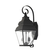 Exeter 2-Light Medium Outdoor Wall Lantern in Black