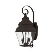 Exeter 2-Light Medium Outdoor Wall Lantern in Bronze