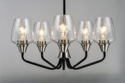 Goblet 5 Light Chandelier in Black / Satin Nickel