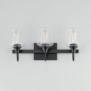 Goblet 20.25" 3 Light Bath Vanity in Black