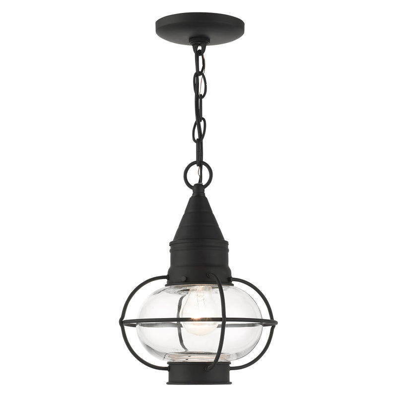 Newburyport Medium Outdoor Pendant Lantern in Black