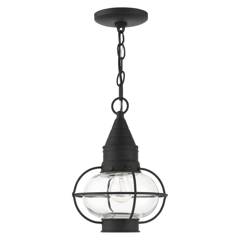 Newburyport Medium Outdoor Pendant Lantern in Black