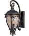 Camden VX Three Light Outdoor Wall Lantern in Golden Bronze