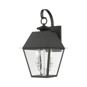 Wentworth 2-Light Medium Outdoor Wall Lantern in Black with Brushed Nickel Finish Cluster