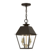 Wentworth 2-Light Medium Outdoor Pendant Lantern in Bronze with Antique Brass Finish Cluster