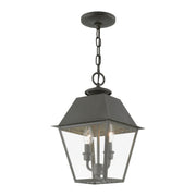 Wentworth 2-Light Medium Outdoor Pendant Lantern in Charcoal