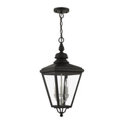 Adams 3-Light Large Outdoor Hanging Lantern in Black with Brushed Nickel Finish Cluster