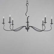 Padrona 8 Light Chandelier in Black Oxide