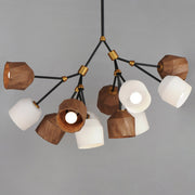 Akimbo 12 Light Chandelier in Dark Bronze / Antique Brass