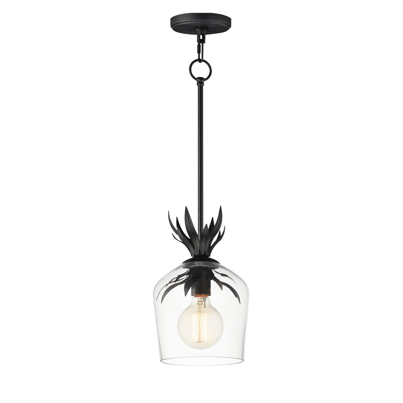 Paloma 1 Light Mini Pendant in Anthracite