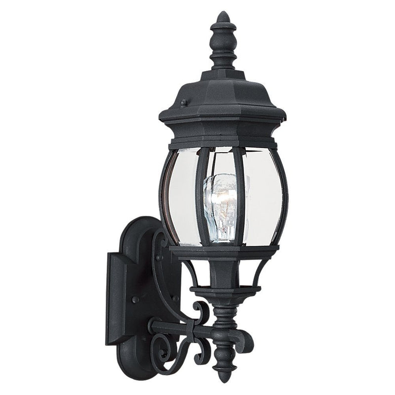 Wynfield Large Clear Beveled Outdoor Wall Lantern in Black