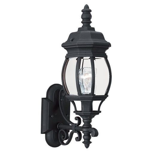 Wynfield Large Clear Beveled Outdoor Wall Lantern in Black