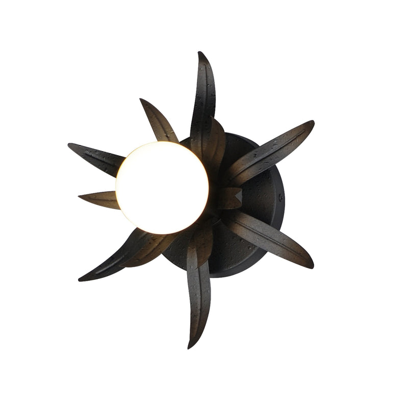 Paloma 10" 1 Light Wall Sconce in Anthracite