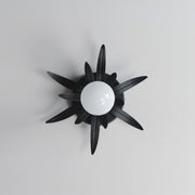 Paloma 10" 1 Light Wall Sconce in Anthracite