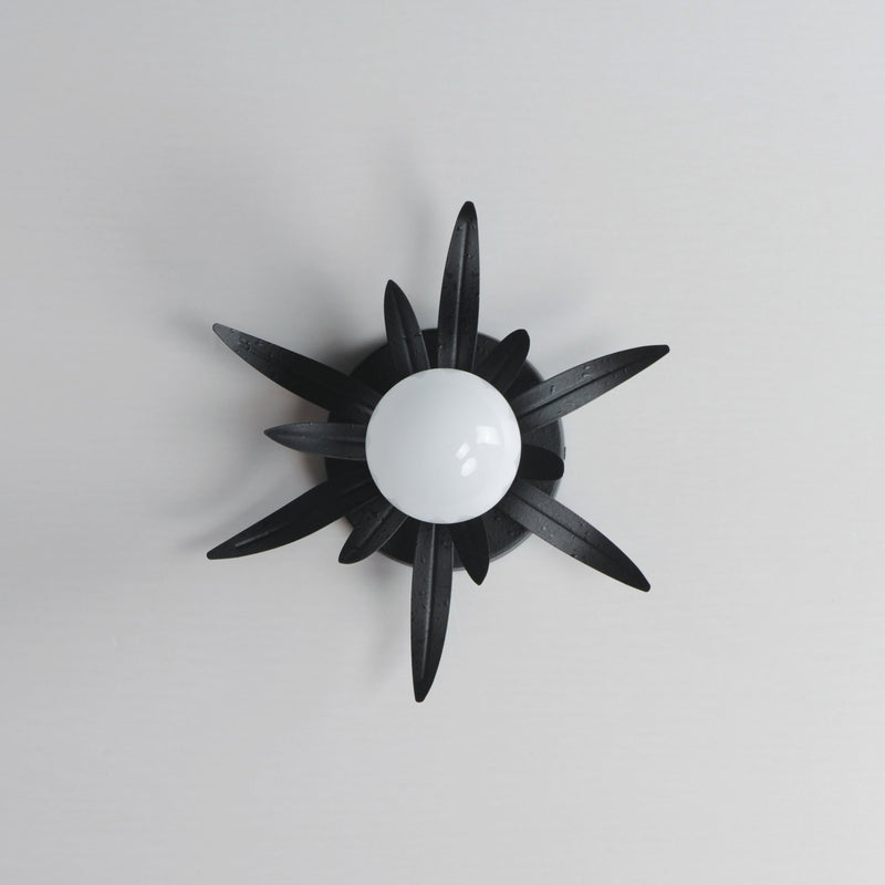 Paloma 10" 1 Light Wall Sconce in Anthracite